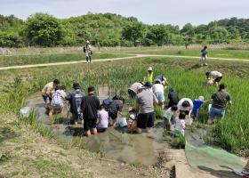 창녕군 우포늪체험장 쪽배타기체험장 개장