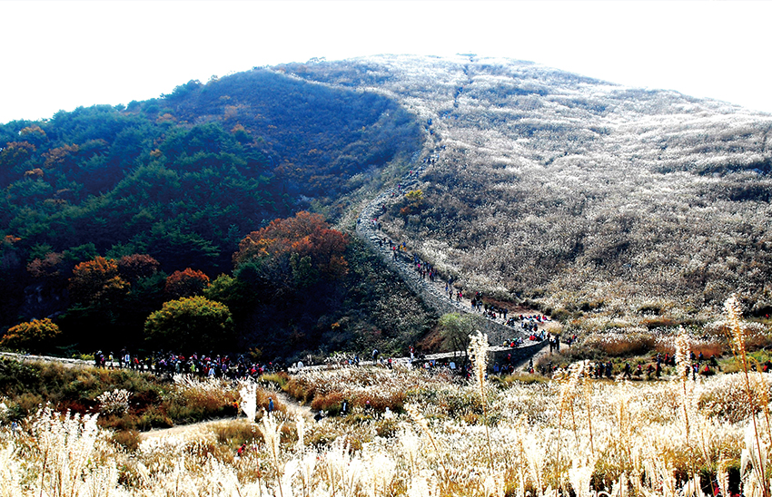 화왕산성 전경
